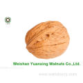 new crop Walnuts Kernels Light Pieces for Sale